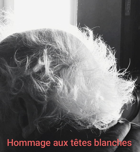 Hommage aux têtes blanches