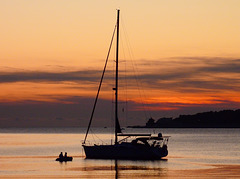 coming home PiP coming home PiP