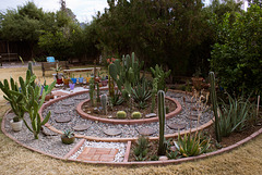 Cactus Garden progress 1/11/15