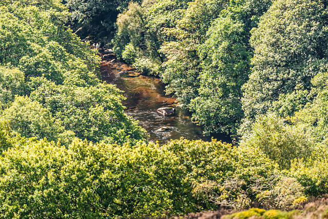 River Dart - 20150831