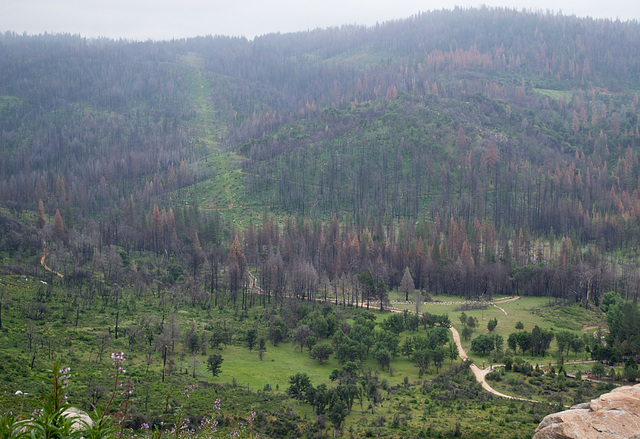 Rim Fire Cherry Lake Rd (#0620)