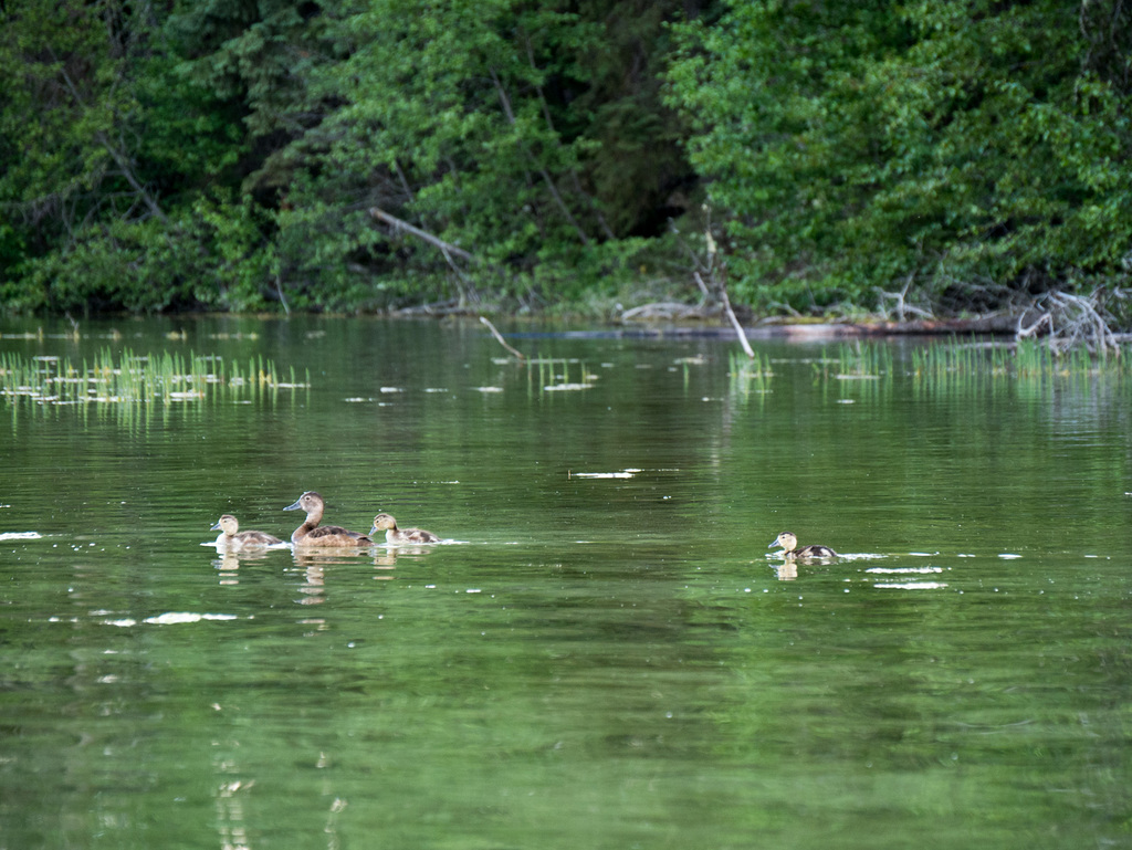 Lac la Roches