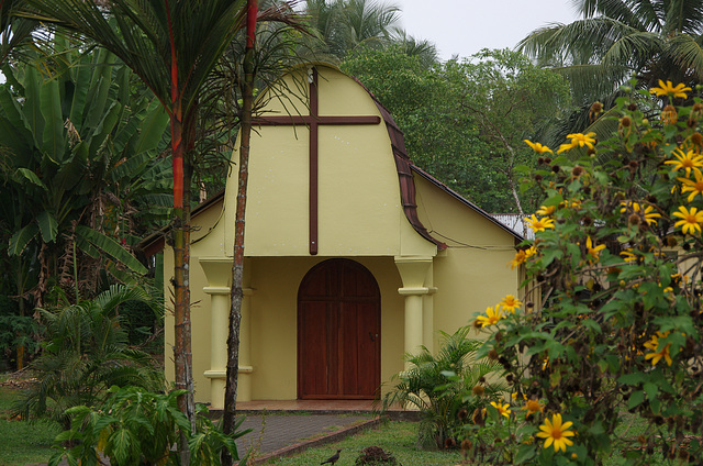 Jungle church