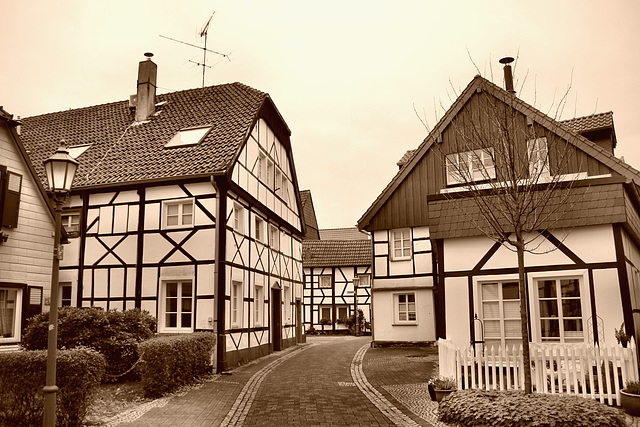 Martinistraße mit Fachwerkhäusern (Altes Dorf Westerholt, Herten) / 21.11.2020