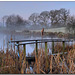 HFF-  Winter on the fish pond