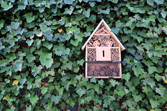 IMG 1371-001-Insect Hotel