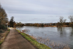 Weg am Ruhrufer (Essen-Überruhr) / 10.02.2024