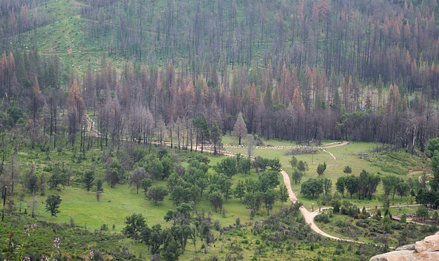 Rim Fire Cherry Lake Rd (#0619)