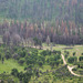 Rim Fire Cherry Lake Rd (#0619)