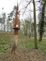 Baumpilz im Stadtpark