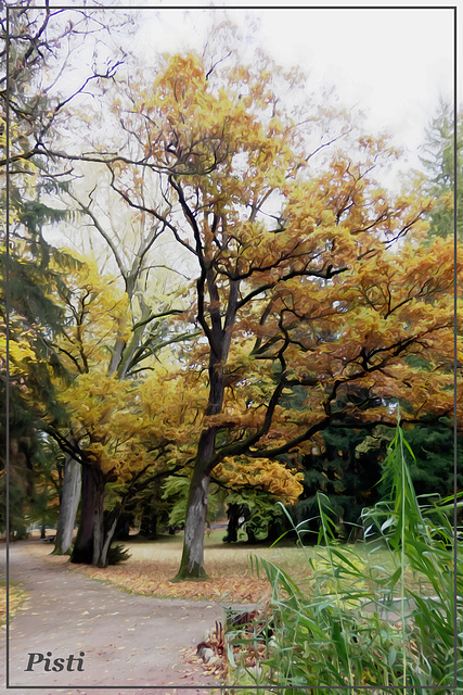 Kurpark Bad Wörishofen