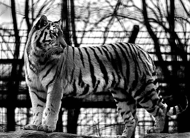 Tierpark Straubing