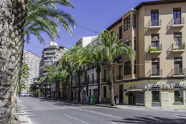 Carrer Poeta Carmelo Calvo, Alicante (© Buelipix)