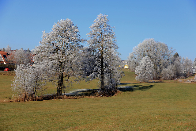 Spaziergang am Neujahrstag 2017