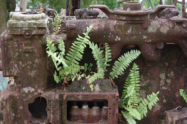 Rusty remains of a tracked vehicle