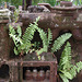 Rusty remains of a tracked vehicle