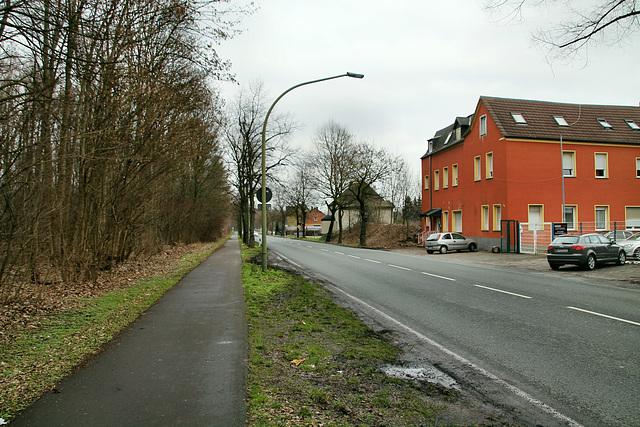 Kamener Straße (Hamm-Wiescherhöfen) / 3.02.2019