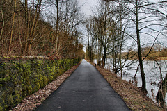 Weg am Ruhrufer (Essen-Überruhr) / 10.02.2024