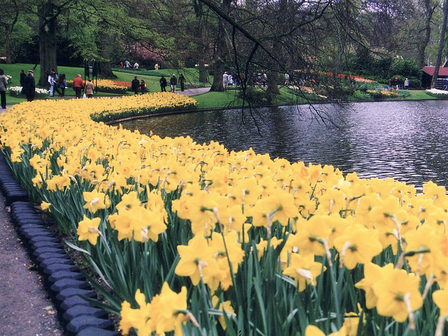 Keukenhof im April 2003