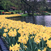 Keukenhof im April 2003