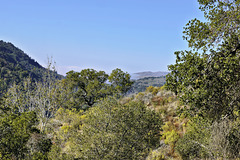 The Valley View Trail, Take 3 – Pfeiffer Big Sur State Park, Monterey County, California The Valley View Trail, Take 3 – Pfeiffer Big Sur State Park, Monterey County, California