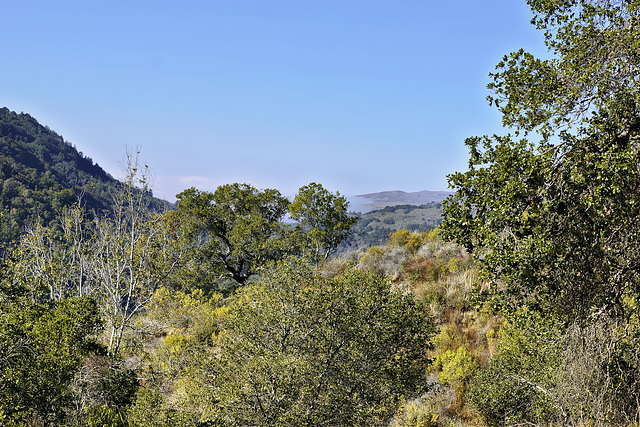 The Valley View Trail, Take 3 – Pfeiffer Big Sur State Park, Monterey County, California