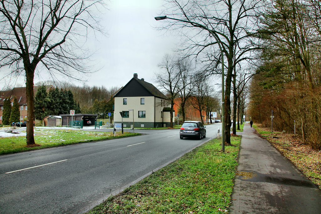 Kamener Straße (Hamm-Wiescherhöfen) / 3.02.2019