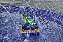 Frog Fountain, Take #4 – Plaza de España, Vejer de la Frontera, Cádiz Province, Andalucía, Spain