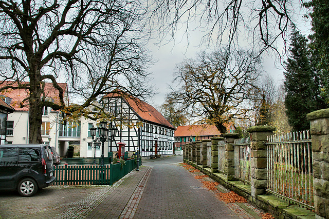 Martinistraße (Altes Dorf Westerholt, Herten) / 21.11.2020