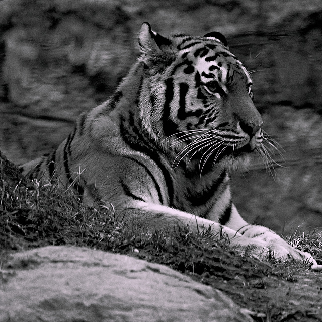 Tierpark Straubing