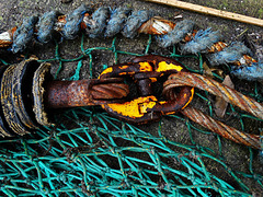 Detail and Texture at the Fishquay