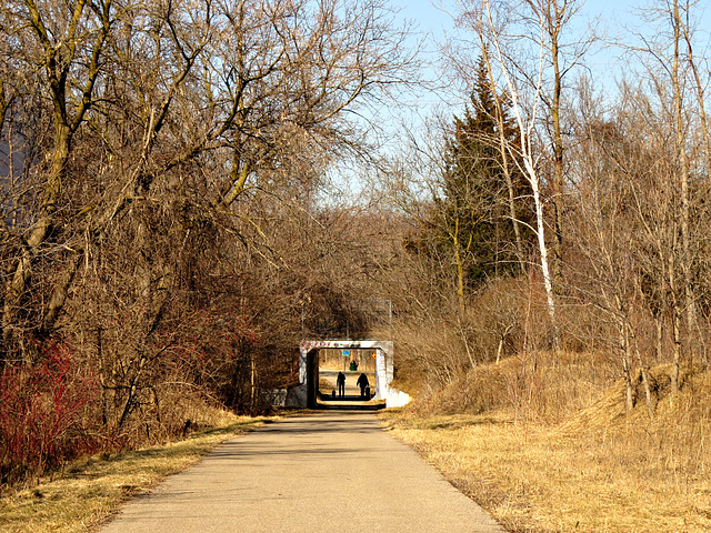 A dozen of freight trains pass overhead