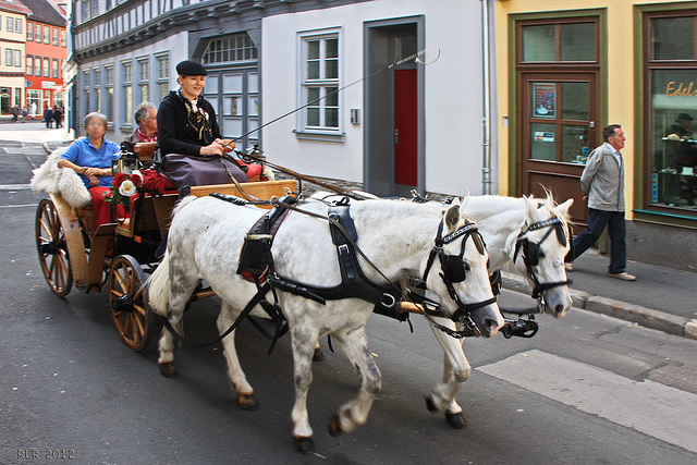 Erfurt,  Kutschfahrt