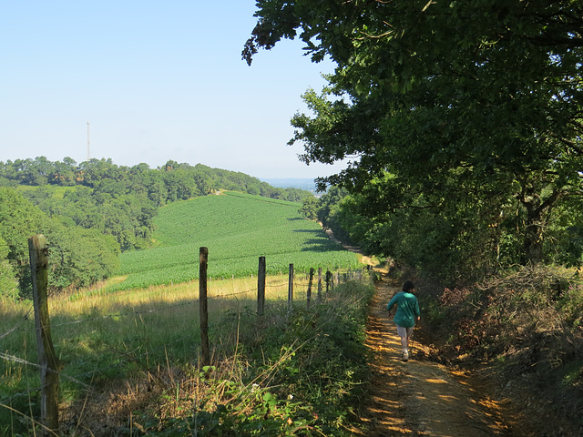 Chemin d'Henri IV, 7.