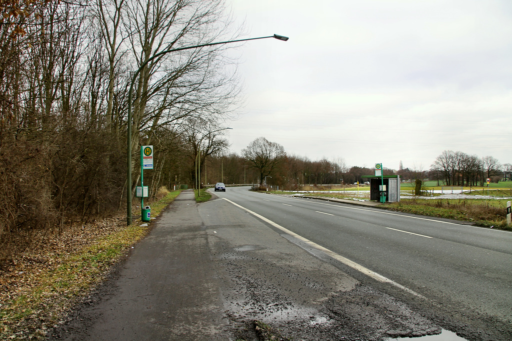 Kamener Straße (Hamm-Wiescherhöfen) / 3.02.2019