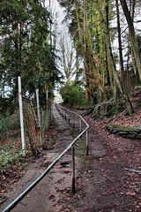 Heuweg (Essen-Überruhr) / 10.02.2024