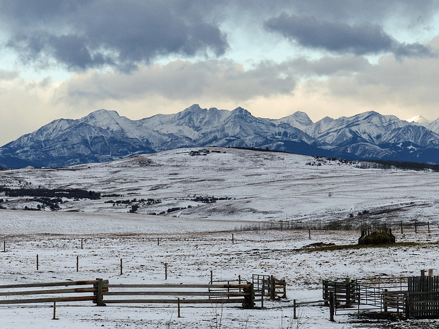 I love our blues and whites of winter