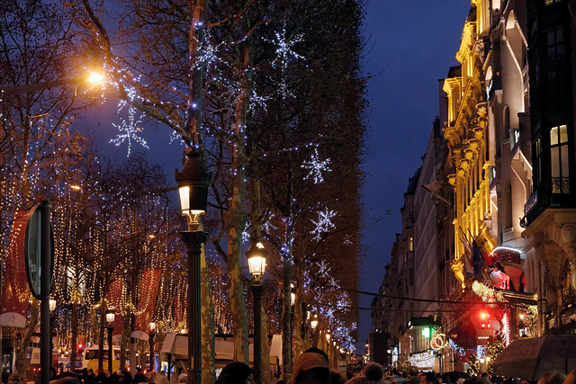 Ambiance de fin d'année sur les Champs-Elysées (1)