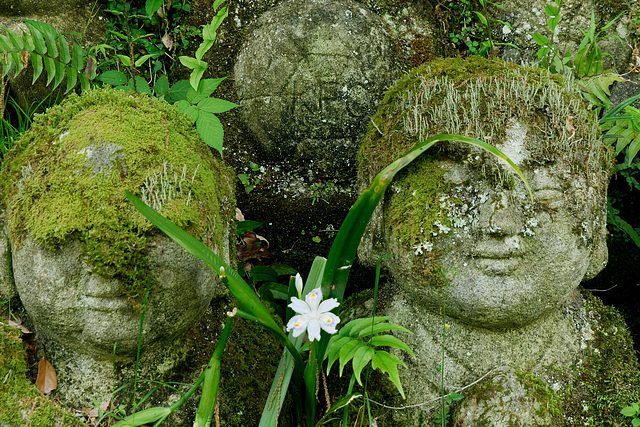 Temple Otagi Nenbutsu-ji (愛宕念仏寺) (12)