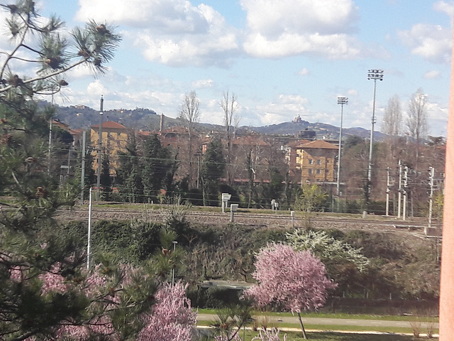 In lontananza dal balcone per Fabio..San Michele in Bosco..Bologna!