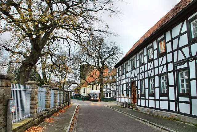 Schloßstraße (Altes Dorf Westerholt, Herten) / 21.11.2020