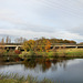 Mühlengraben mit Autobahnbrücke der A43 (Witten-Herbede) / 6.11.2021