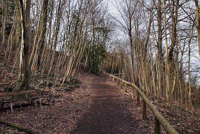 Weg zum Ludwig-Kessing-Park (Essen-Überruhr) / 10.02.2024