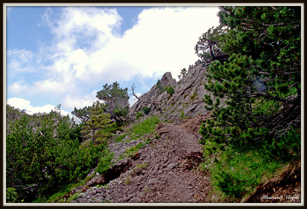 Bergwanderweg zur Staubernkanzel