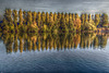 untitled pregamma 1 mantiuk06 contrast mapping 0.1 saturation factor 0.8 detail factor 12.8