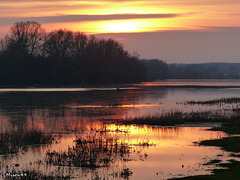 LA LOIRE-BLUE PLANET/PLANETE BLEUE