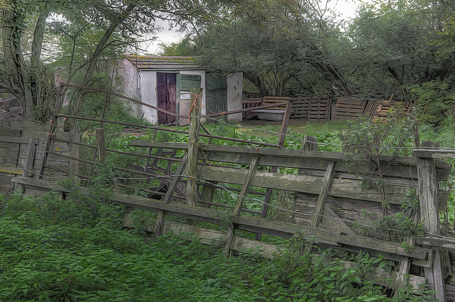 Disused Stables   /   Oct 2019