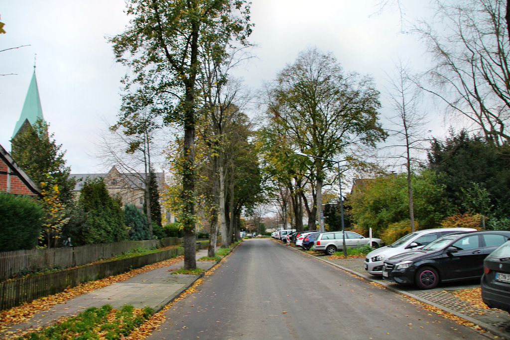 Mühlenkampstraße (Herten-Westerholt) / 21.11.2020