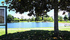 Across Lake Moananui , Tokoroa, NZ.