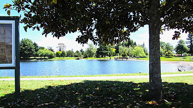 Across Lake Moananui , Tokoroa, NZ.